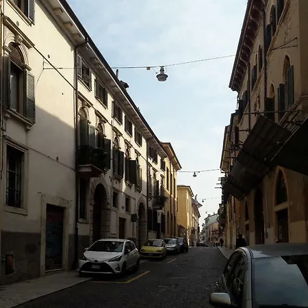 Le Rondini *